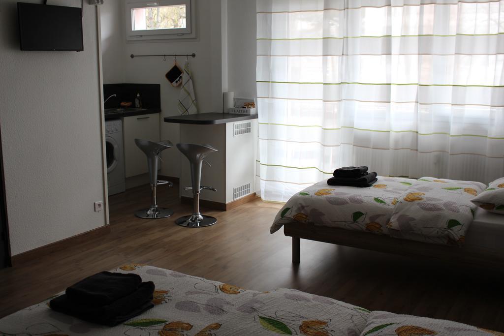 Studios Near Basel Airport Saint-Louis  Εξωτερικό φωτογραφία