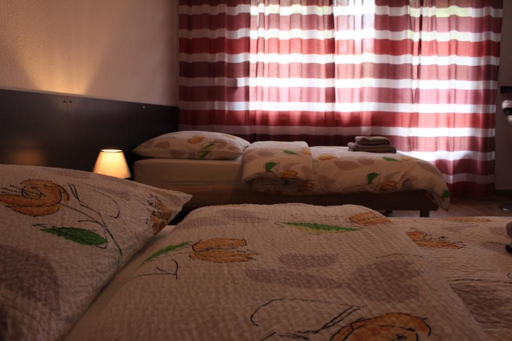 Studios Near Basel Airport Saint-Louis  Εξωτερικό φωτογραφία