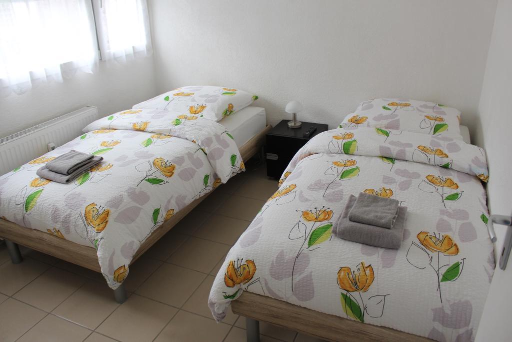 Studios Near Basel Airport Saint-Louis  Εξωτερικό φωτογραφία