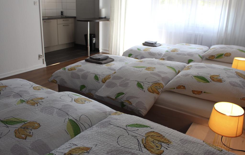 Studios Near Basel Airport Saint-Louis  Εξωτερικό φωτογραφία