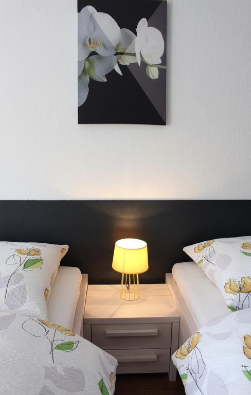 Studios Near Basel Airport Saint-Louis  Εξωτερικό φωτογραφία