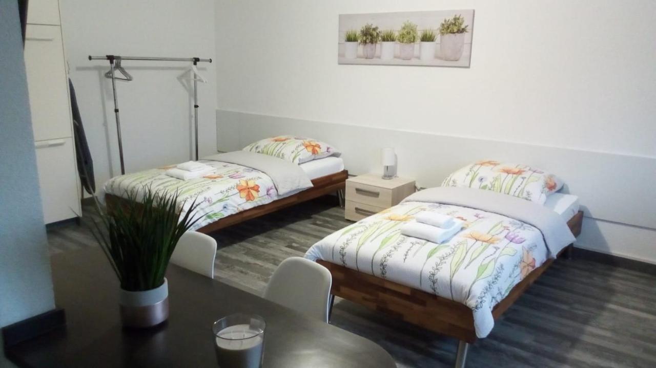 Studios Near Basel Airport Saint-Louis  Εξωτερικό φωτογραφία