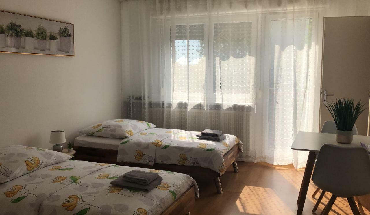 Studios Near Basel Airport Saint-Louis  Εξωτερικό φωτογραφία